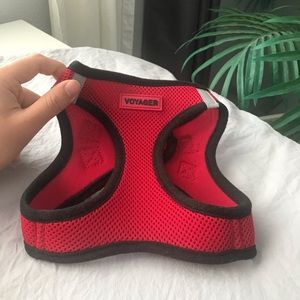 Red dog harness